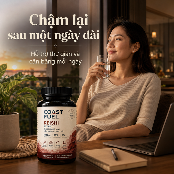 Hướng dẫn sử dụng