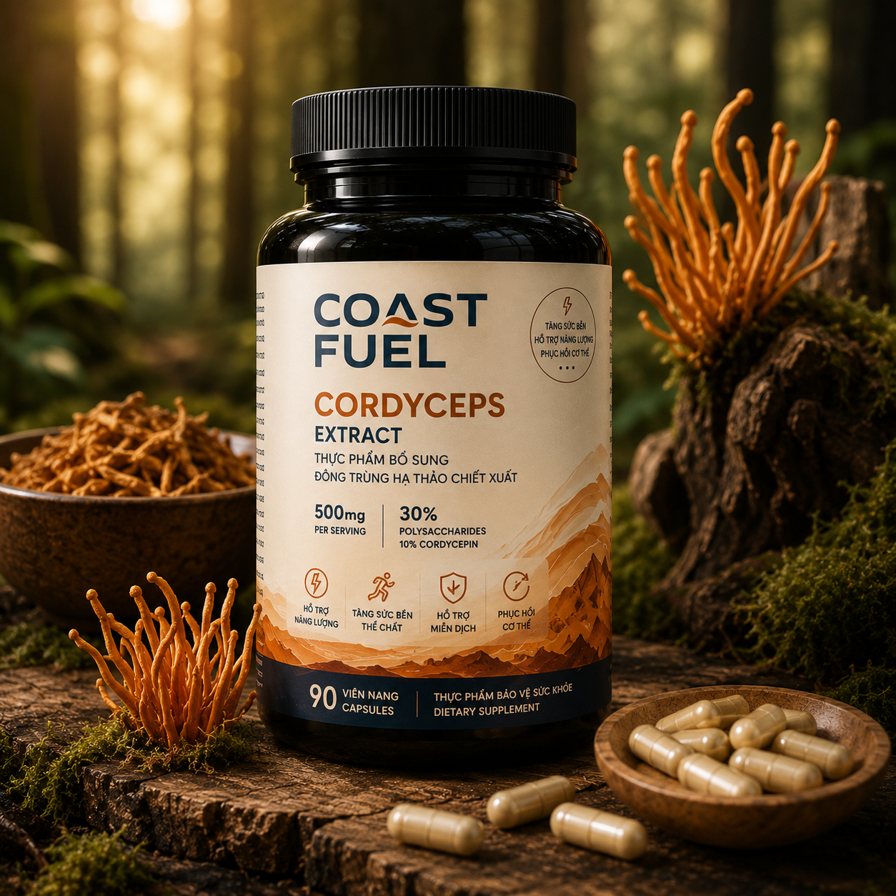 Cordyceps Extract