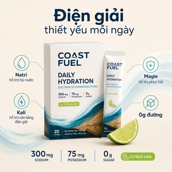 Hướng dẫn sử dụng