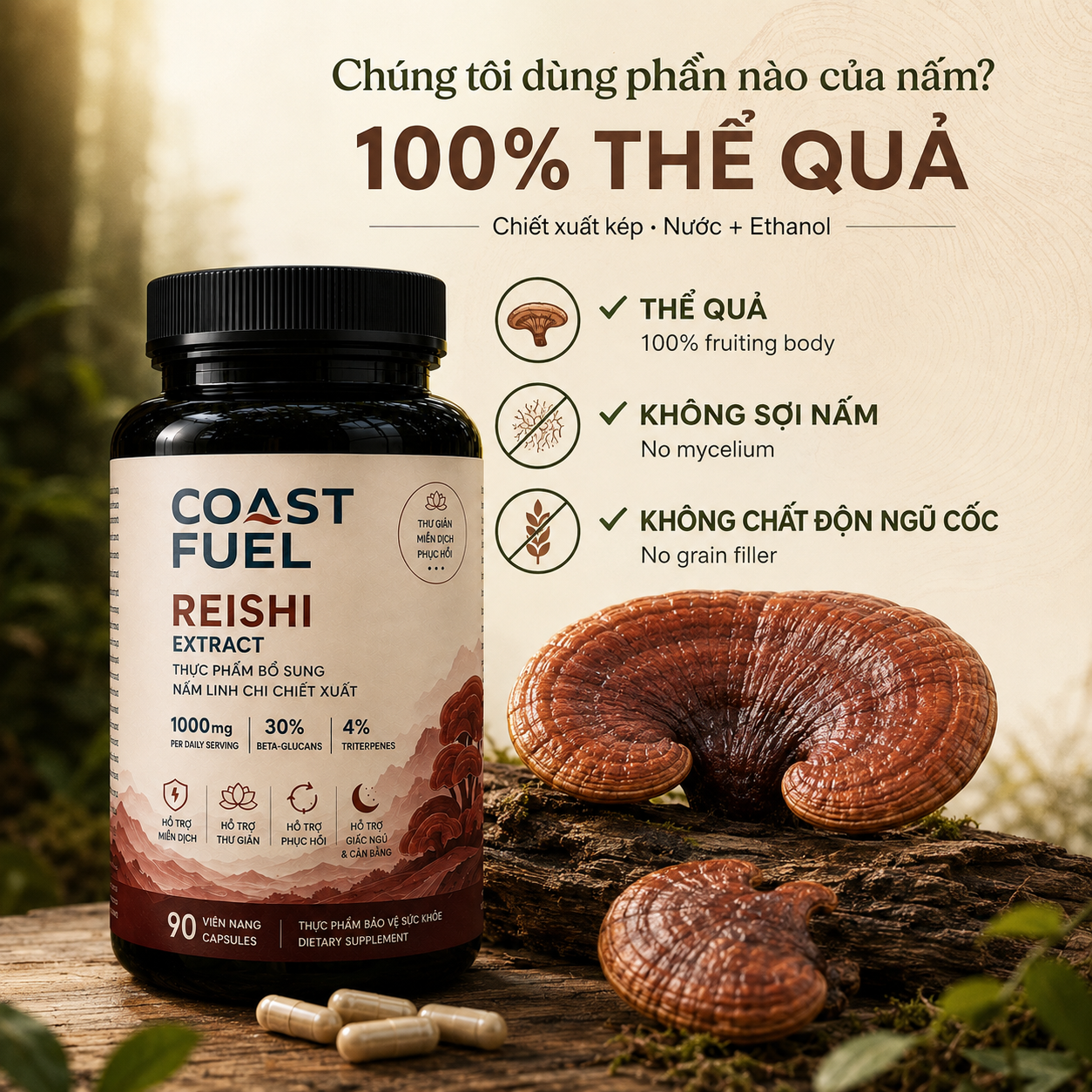 Nấm Linh Chi (Reishi)