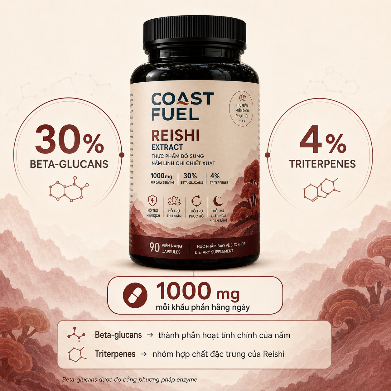 Nấm Linh Chi (Reishi)