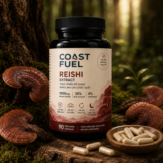 Nấm Linh Chi (Reishi)